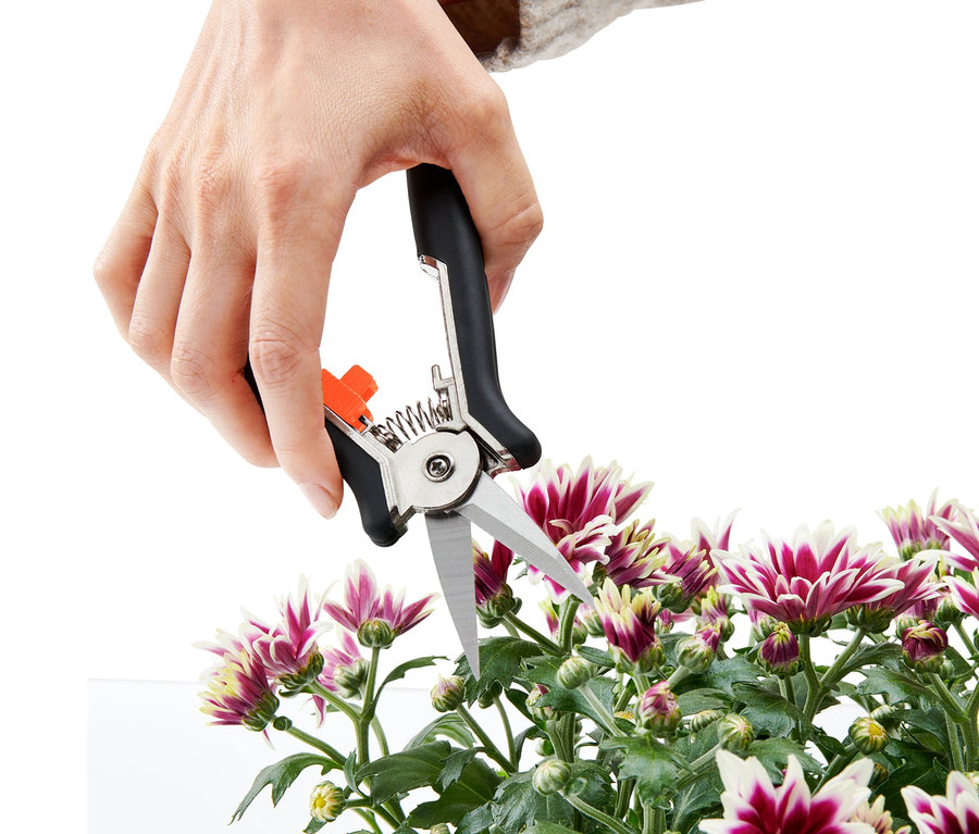 Egy kéz virágokat vág egy 2 mini kerti ollóval.