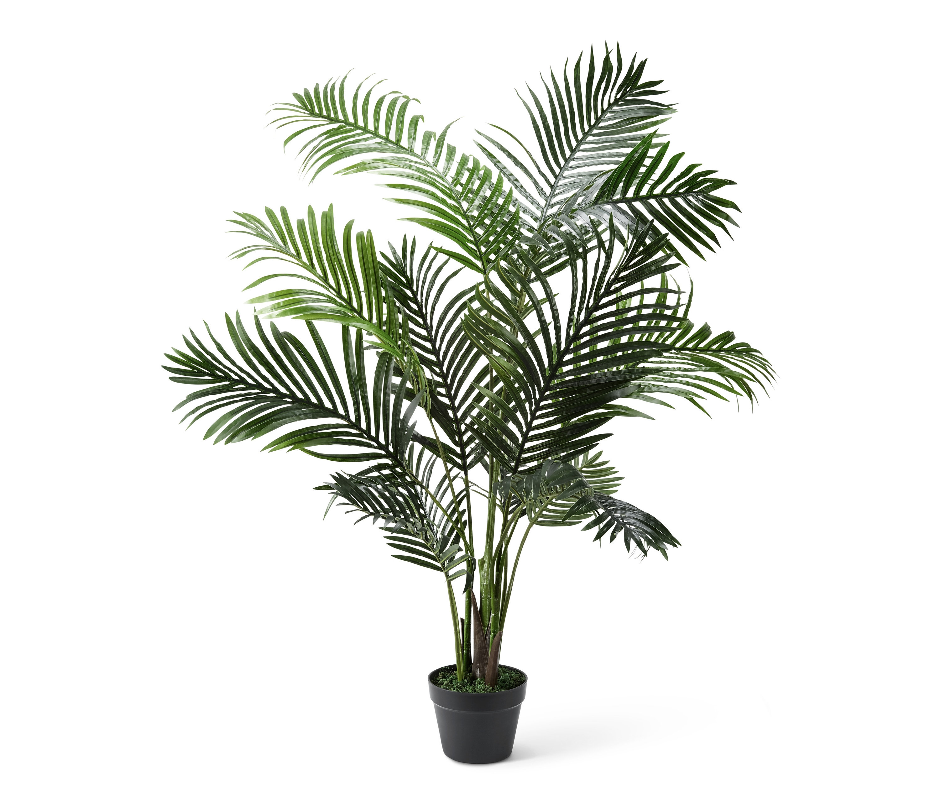Műnövény, Areca pálma, 120 cm-es méretben, fekete cserépben.