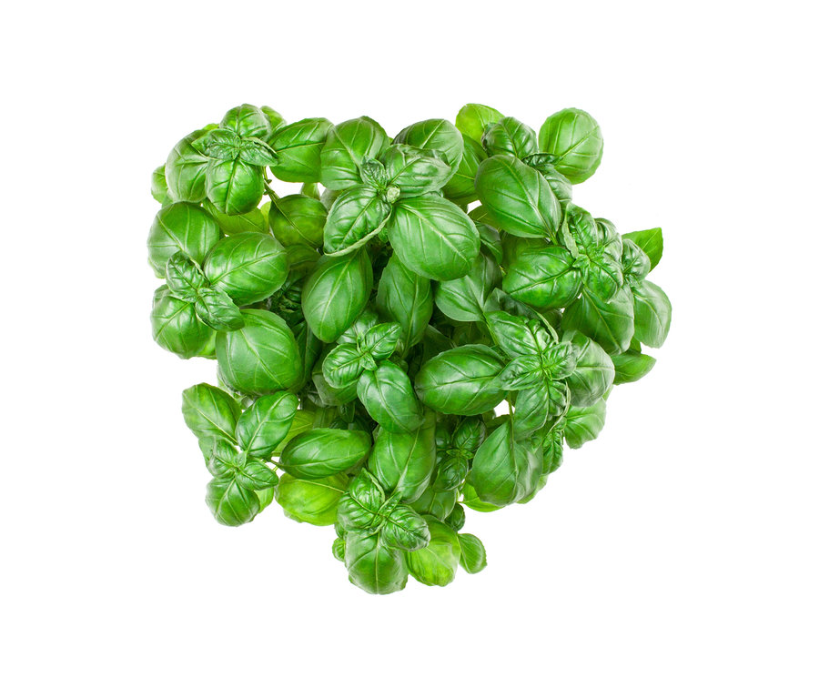 Közeli felvétel felülről a 8 klasszikus fűszernövénymagról, élénkzöld bazsalikomlevelek fehér alapon.