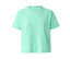menta
