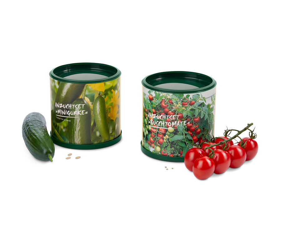 Két termesztő készlet miniuborkához és koktélparadicsomhoz. Bal oldalon egy uborka, jobb oldalon egy csokor paradicsom látható.