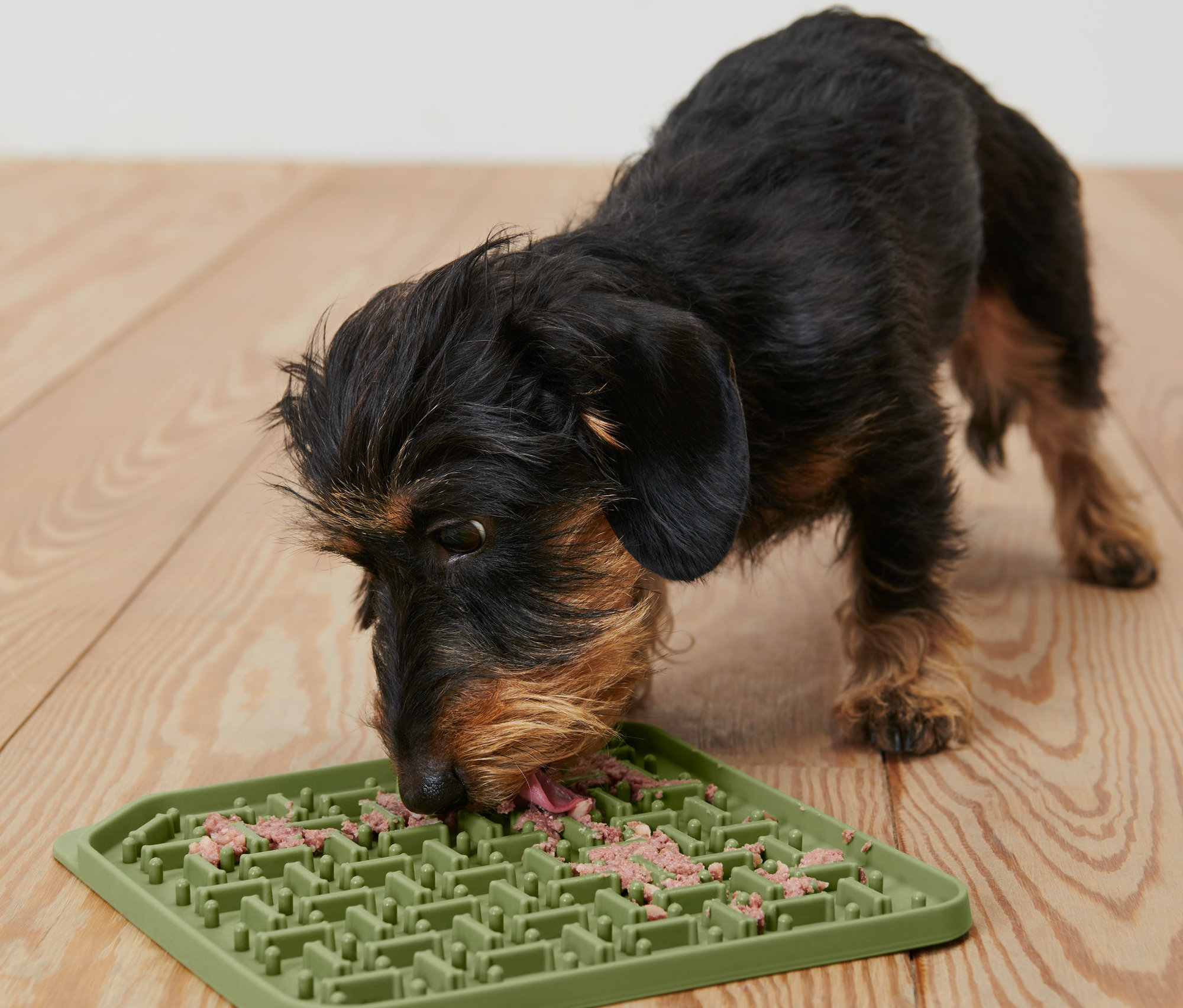 Barna tacskó eszik egy nyalogató szőnyegről egy fapadlón.