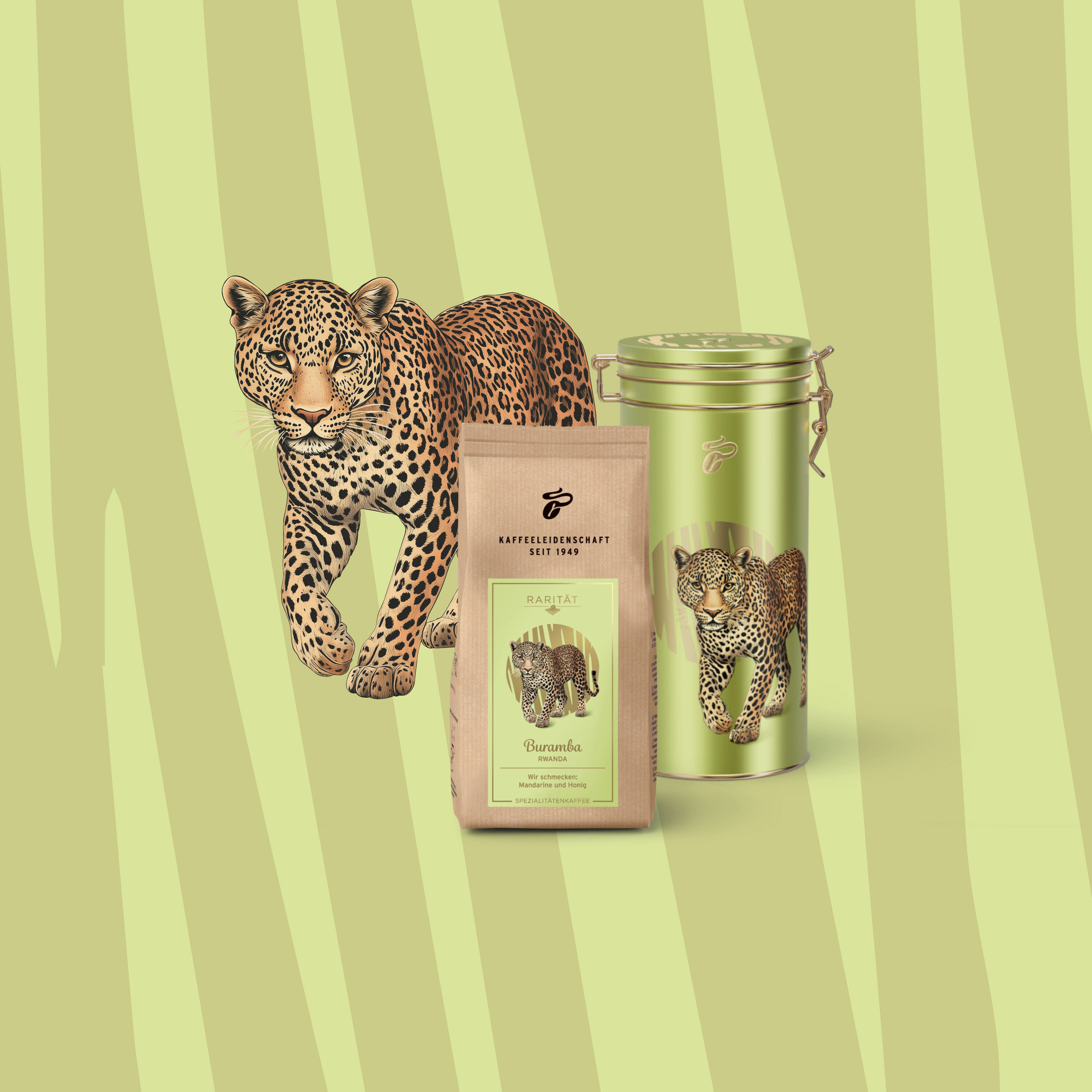 Leopárd a kávécsomag és a doboz mellett, zöld csíkos háttér előtt.
