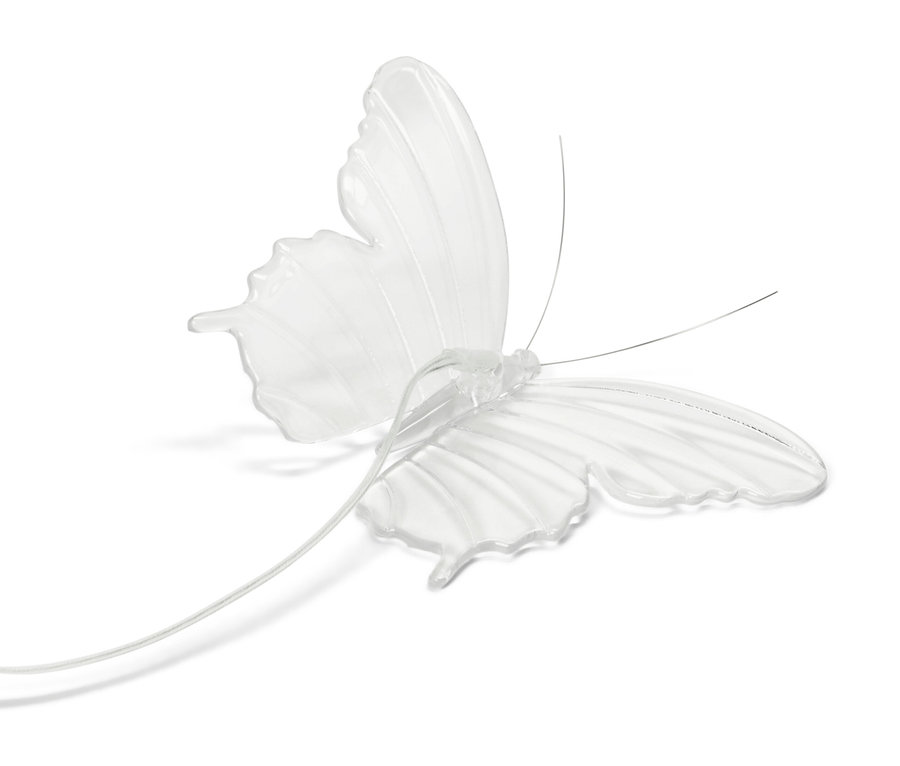 Átlátszó pillangó csápokkal és kábellel.