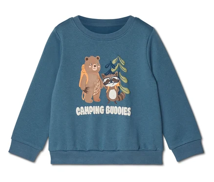 Kék pulóver hátizsákos medve, napszemüveges mosómedve és "Camping Buddies" felirattal.