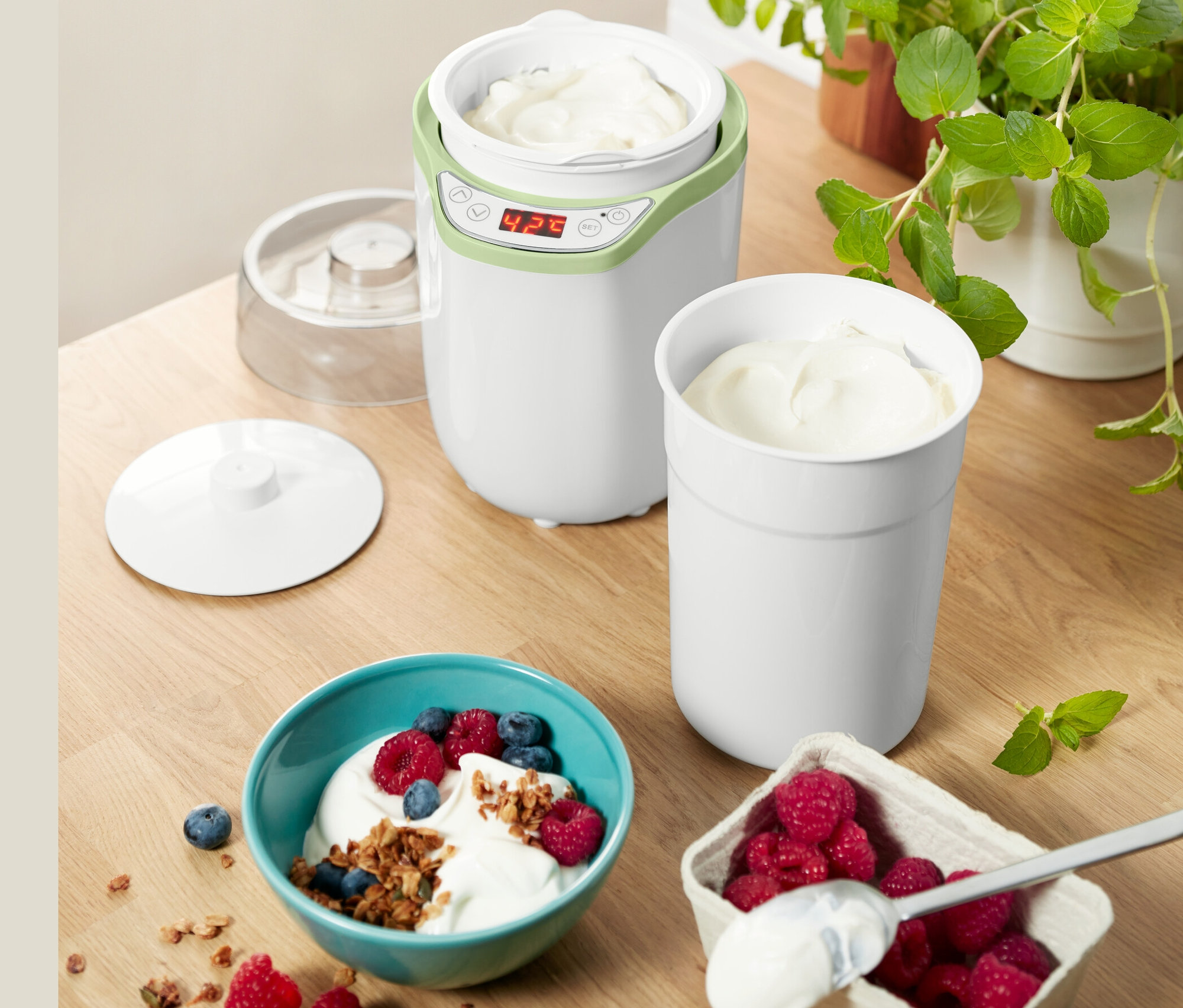 Joghurt- és krémsajtkészítő joghurttal egy tálban áfonyával és málnával.