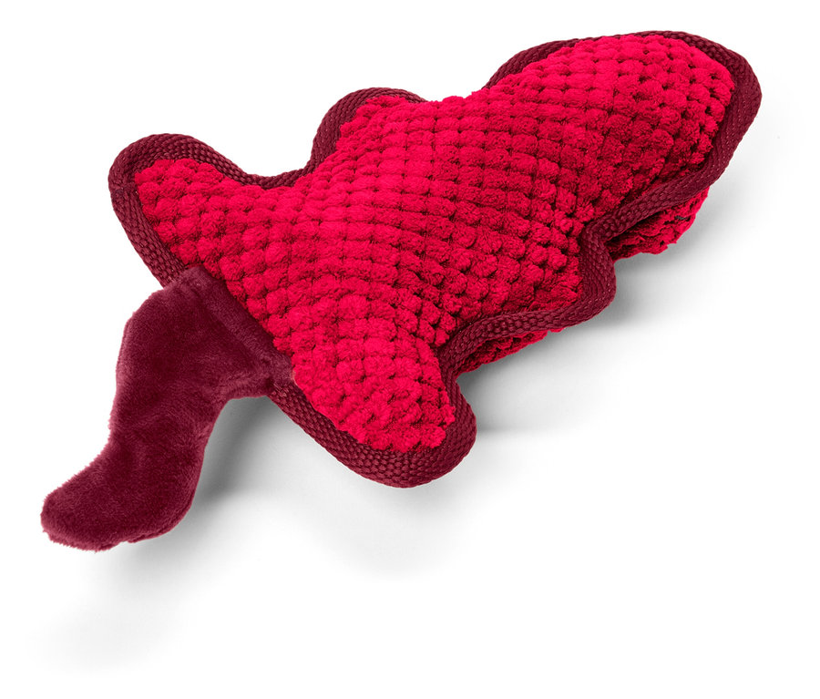 Egy piros, hal alakú kutyajáték fekszik egy fehér háttéren.