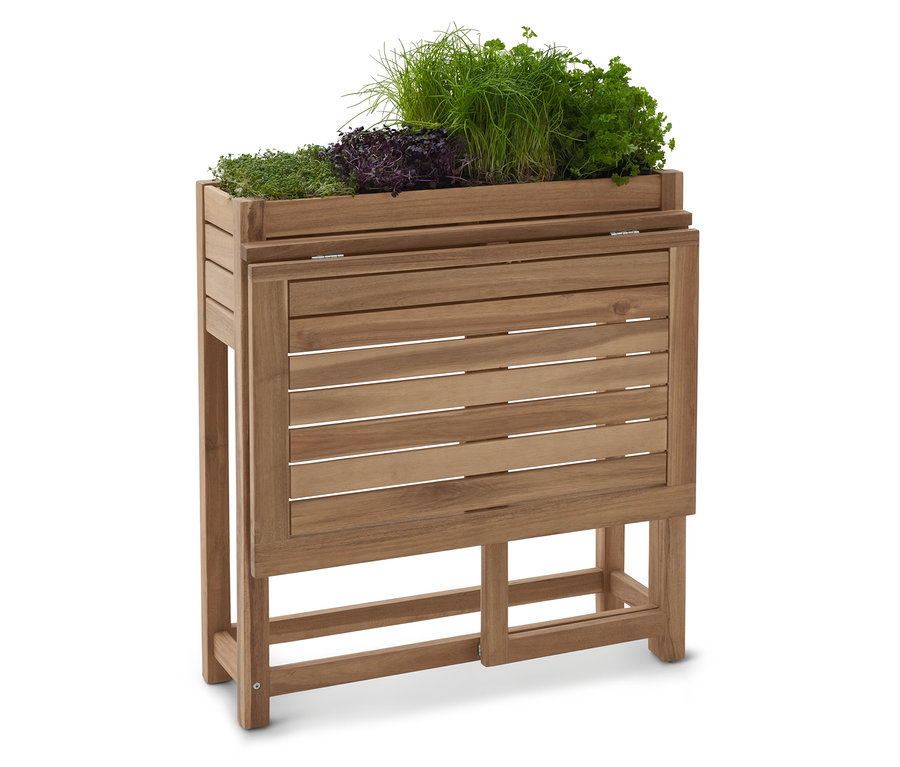 Fából készült magaságyás különféle gyógynövényekkel.