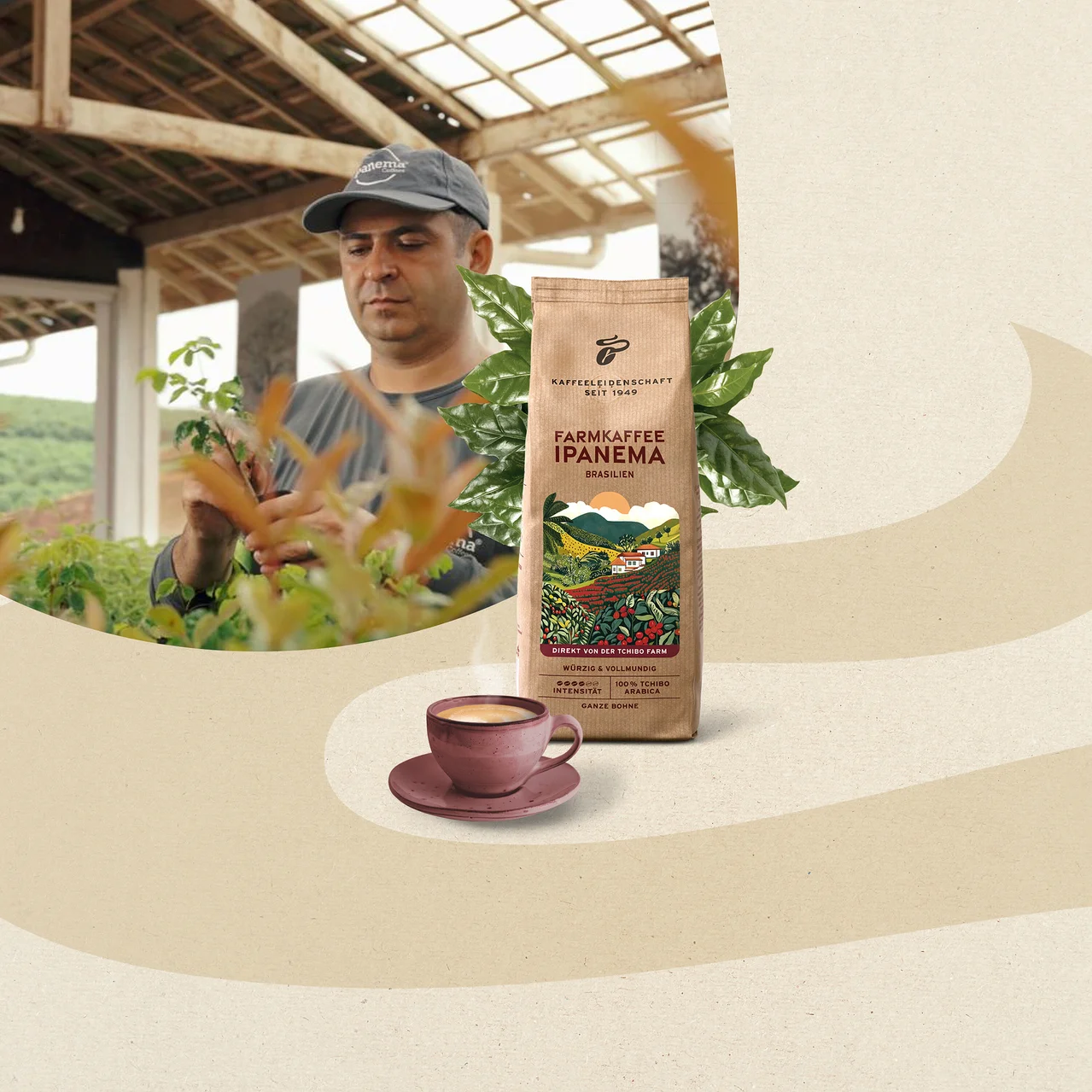 Egy sapkás férfi növényeket gondoz. Mellette egy csomag Tchibo Ipanema Farmkaffee Brasilien 100% Arabica kávé kávélevelekkel körülvéve, és egy gőzölgő kávéscsésze.