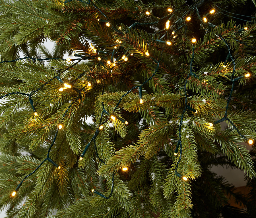 Közeli kép egy tűlevelű fáról, amelyre LED-es égősor, inda van tekerve.