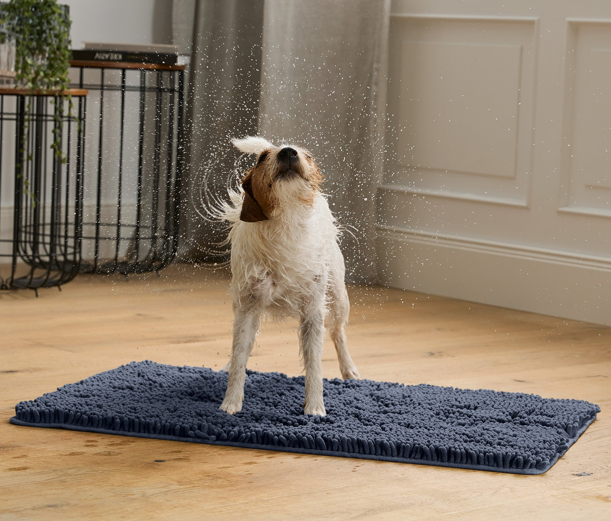 Egy nedves kutya rázza magát egy kék, gyorsan száradó kutyaszőnyegen.