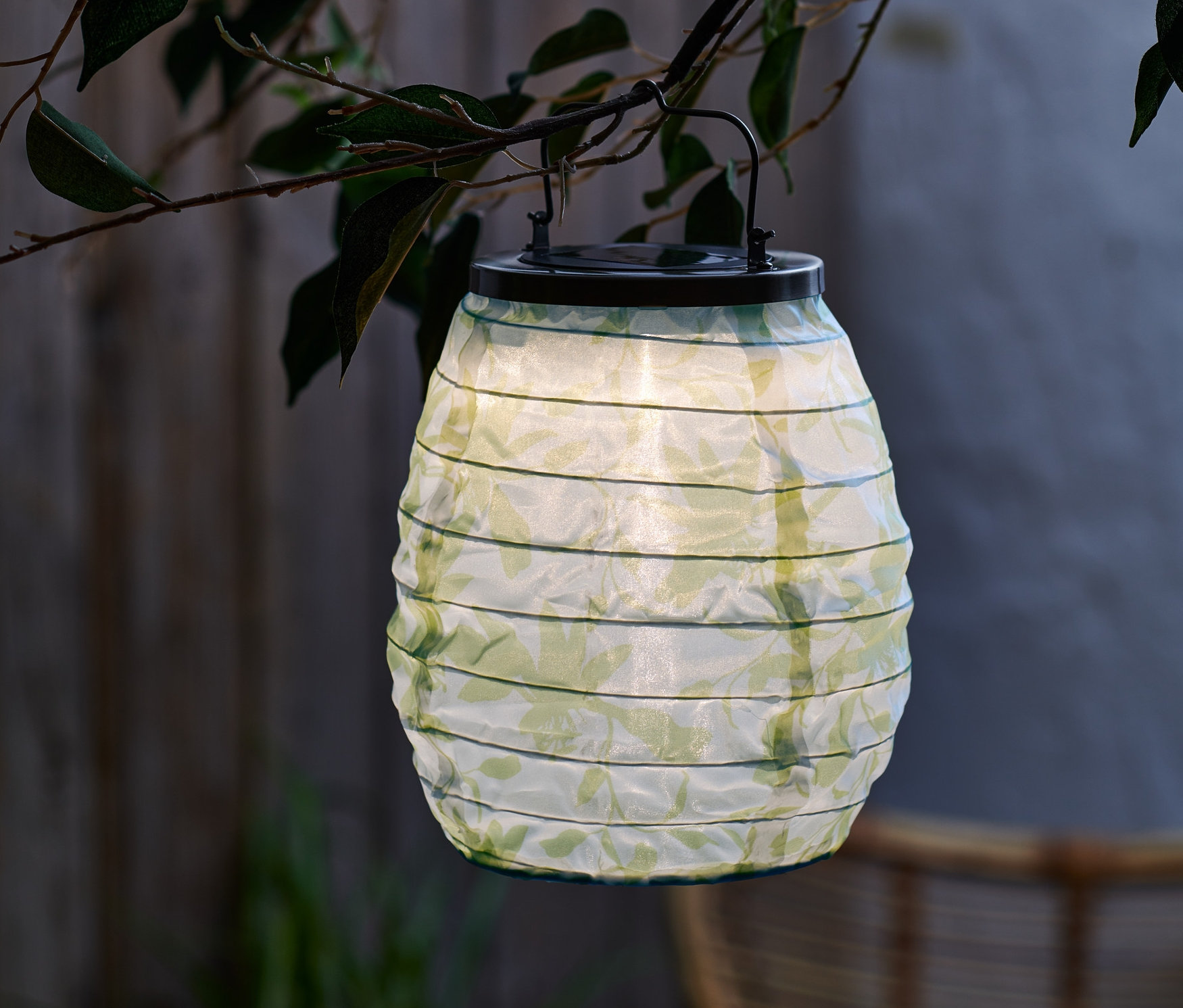 Egy zöld napelemes lampion lóg egy faágon.