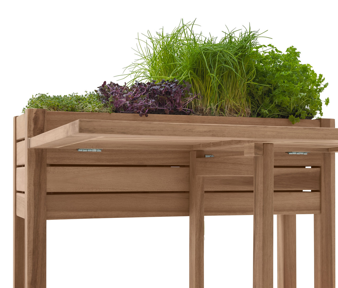 Egy fából készült ültetőasztal közelképe különféle gyógynövényekkel, köztük snidlinggel és petrezselyemmel.