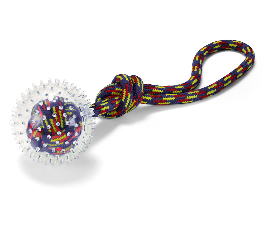 Kutyajáték átlátszó labdával és színes kötéllel.
