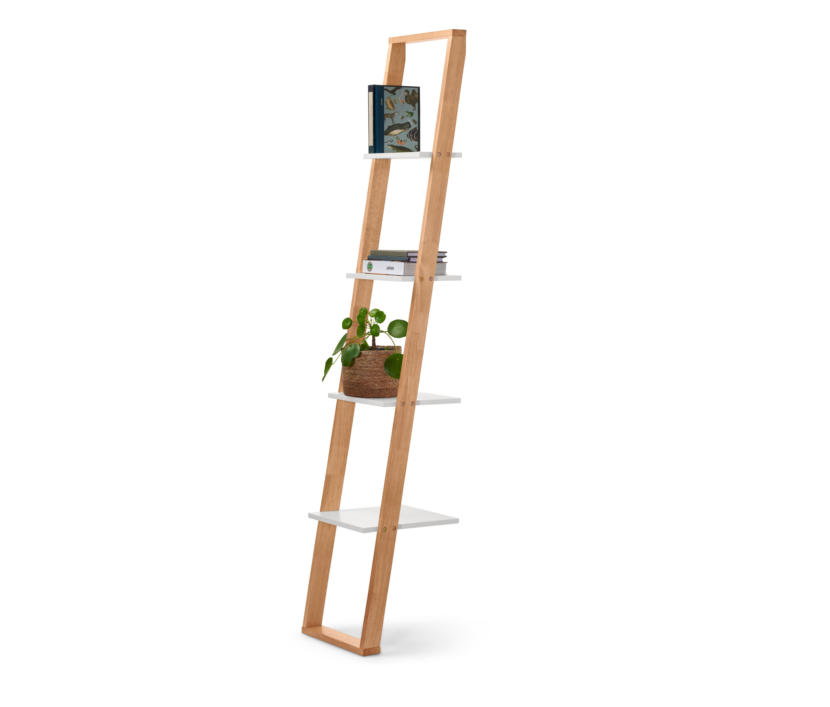 Keskeny létrás polc könyvekkel és egy cserepes növénnyel.