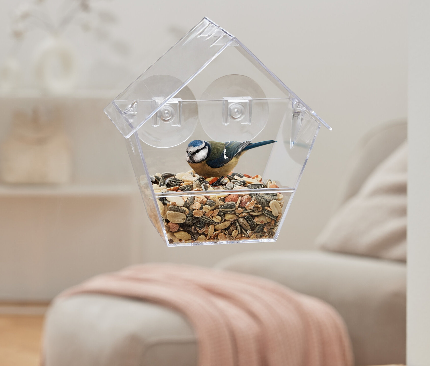 Egy kék cinege ül egy Madárház ablakrán.