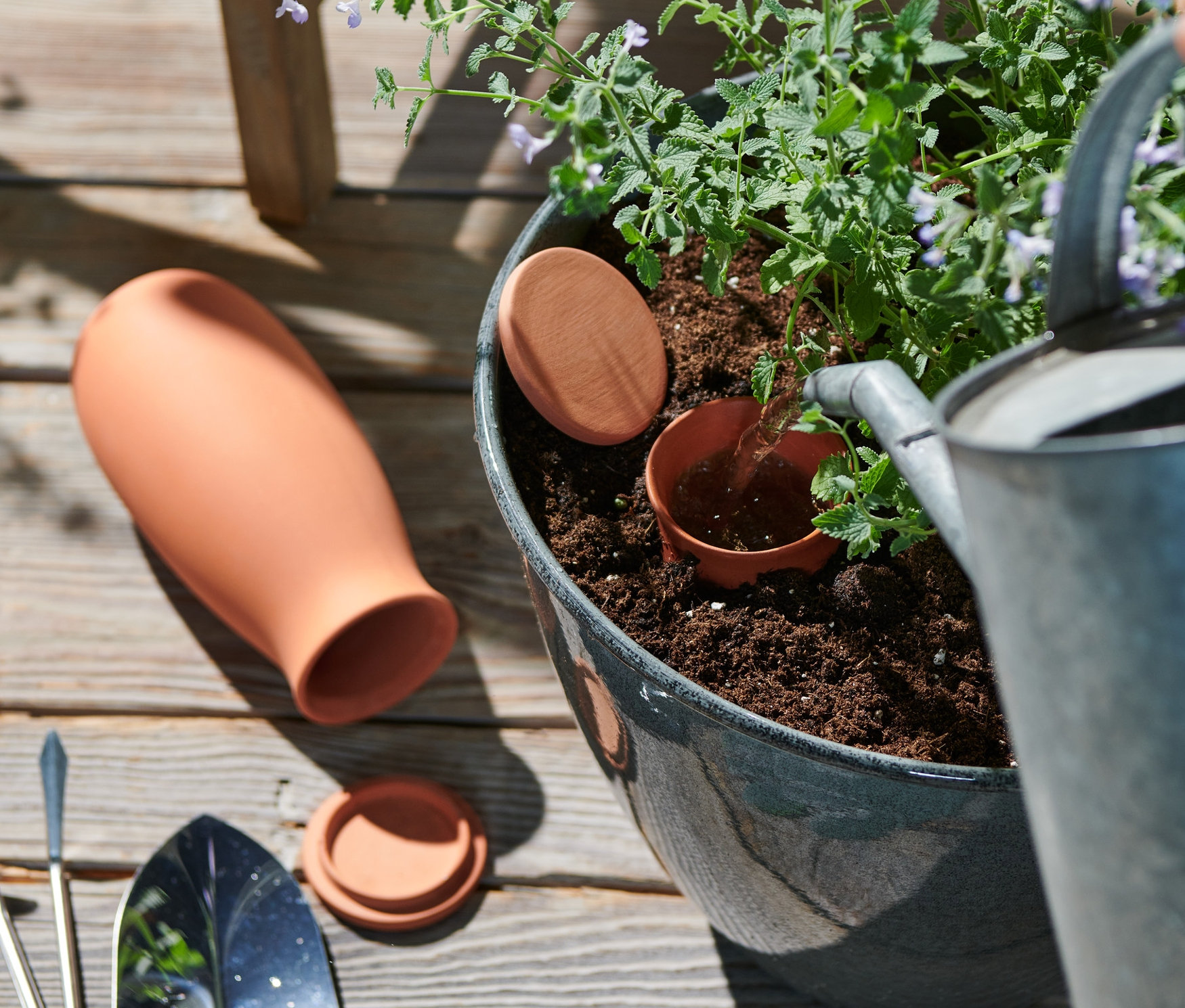 Egy virágcserepet öntöznek 2 nagy agyag öntözősegéd segítségével.