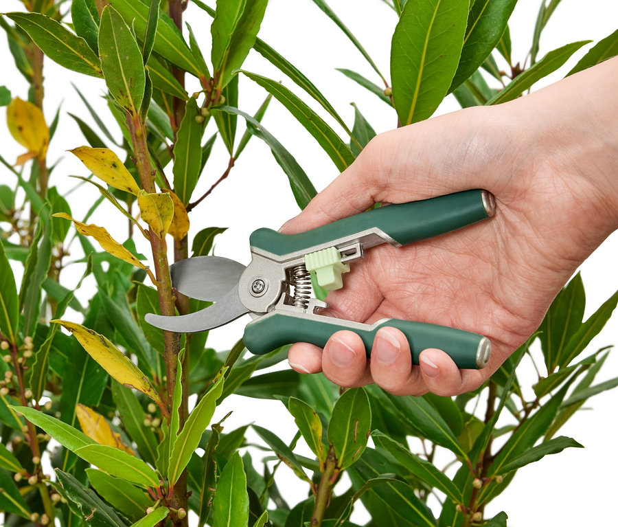 Egy kéz egy ágat vág le egy 2 mini kerti ollóval.