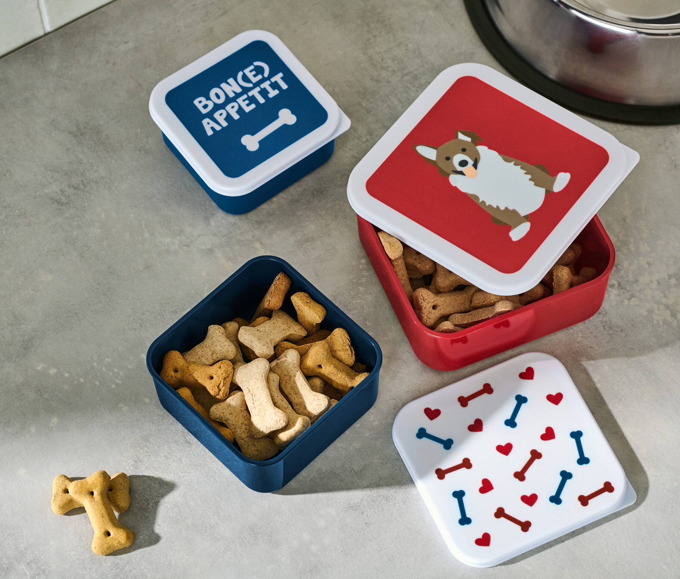 Négy jutalomfalat tartó doboz látható egy szürke felületen, az egyik nyitva van és tele van jutalomfalattal.