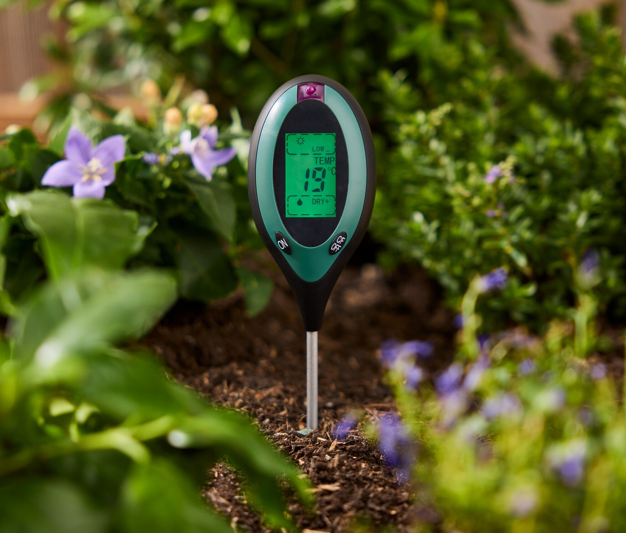 Egy zöld talajvizsgáló a növények közötti talajba van szúrva.