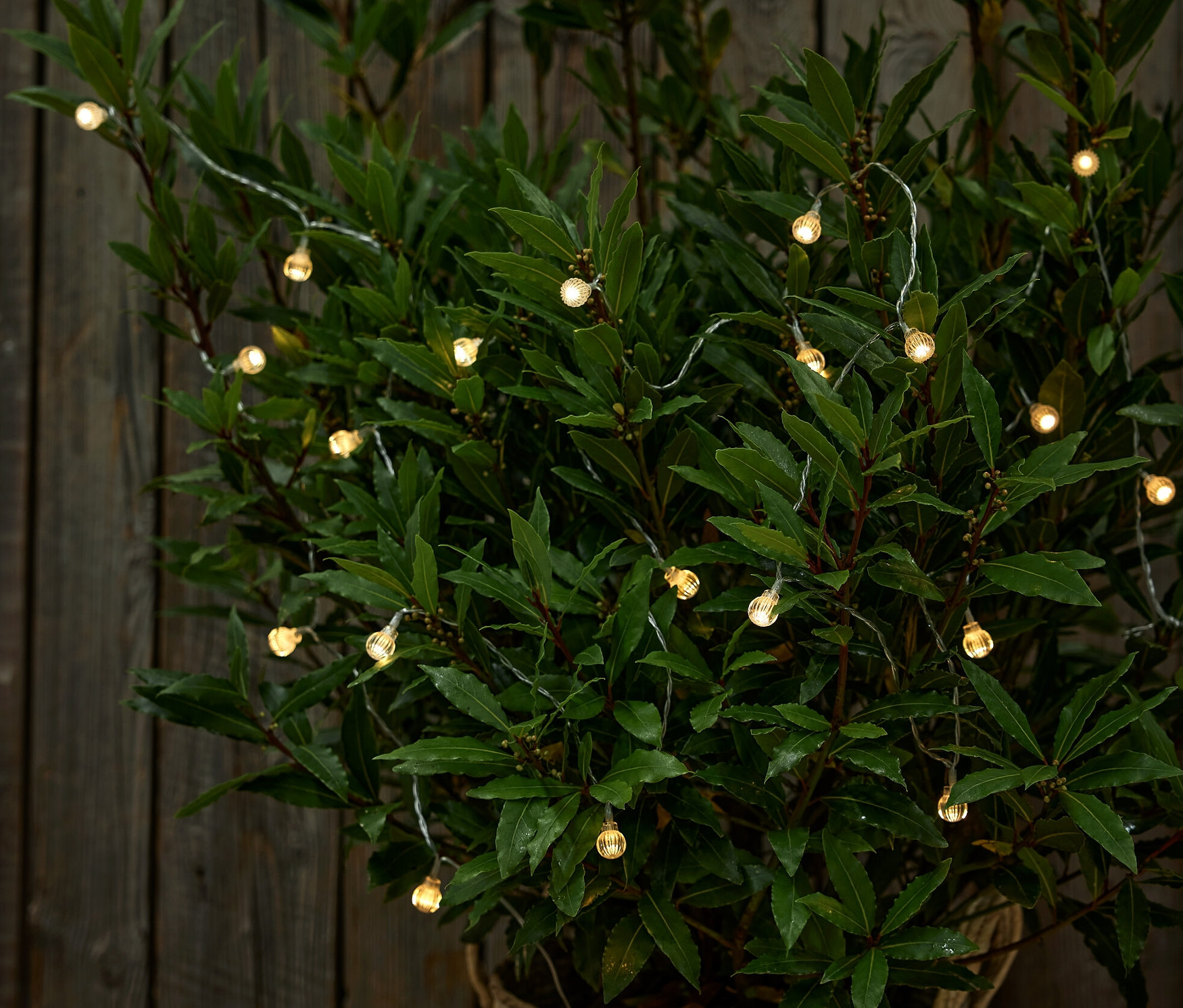 Napelemes fényfüzér gömbökkel egy barna cserépben lévő növény köré tekerve.