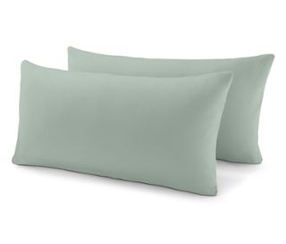 Menta