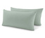Menta