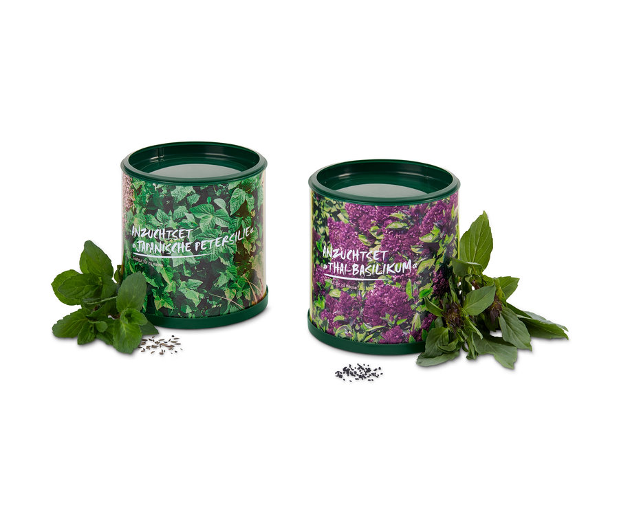 Két termesztő készlet: thai bazsalikom és japán petrezselyem, mindegyik zöld tartályban.