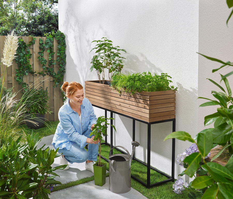 Nő guggol a kertben, palántát ültet egy gyógynövényekkel beültetett magaságyás, egy öntözőkanna és egy cserép mellé.