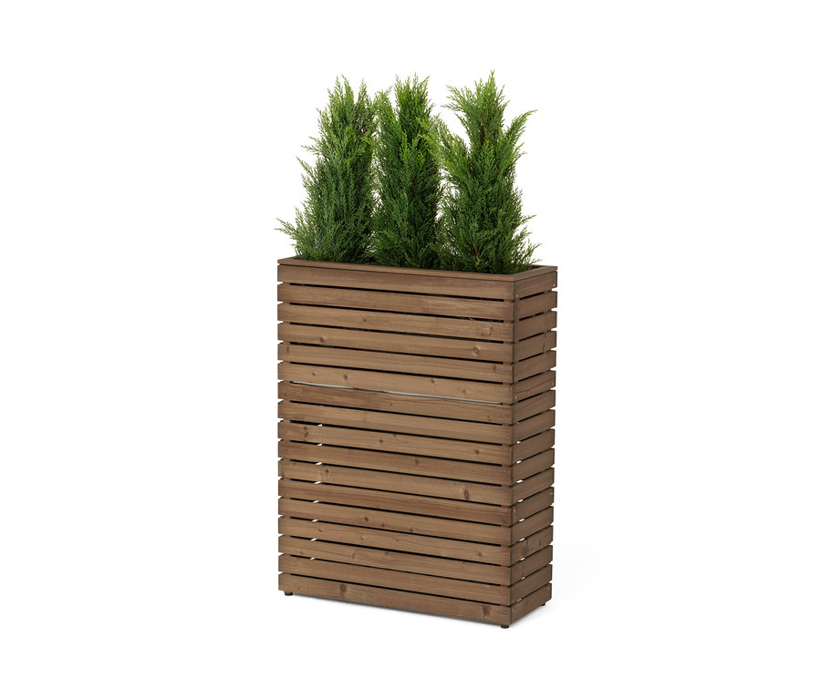 Egy fa térelválasztó virágláda »Tinus«, melyben három zöld növény található.