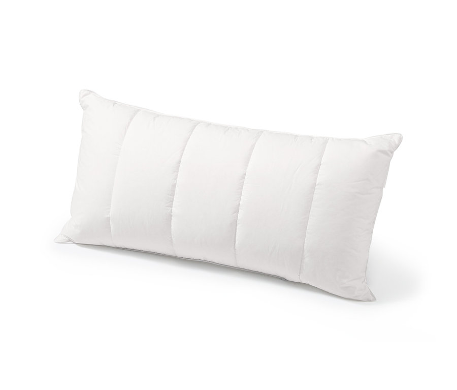 Egy fehér cirbolyafenyő párna fekszik fehér háttéren.