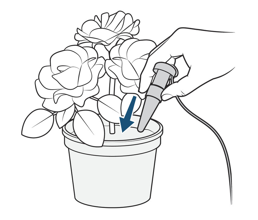 Egy kéz a 3 automata öntöző szett egyikét helyezi egy rózsával teli virágcserépbe.