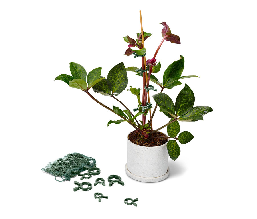 Egy cserepes virág 20 darab zöld növénycsipesszel van egyBothoz rögzítve.