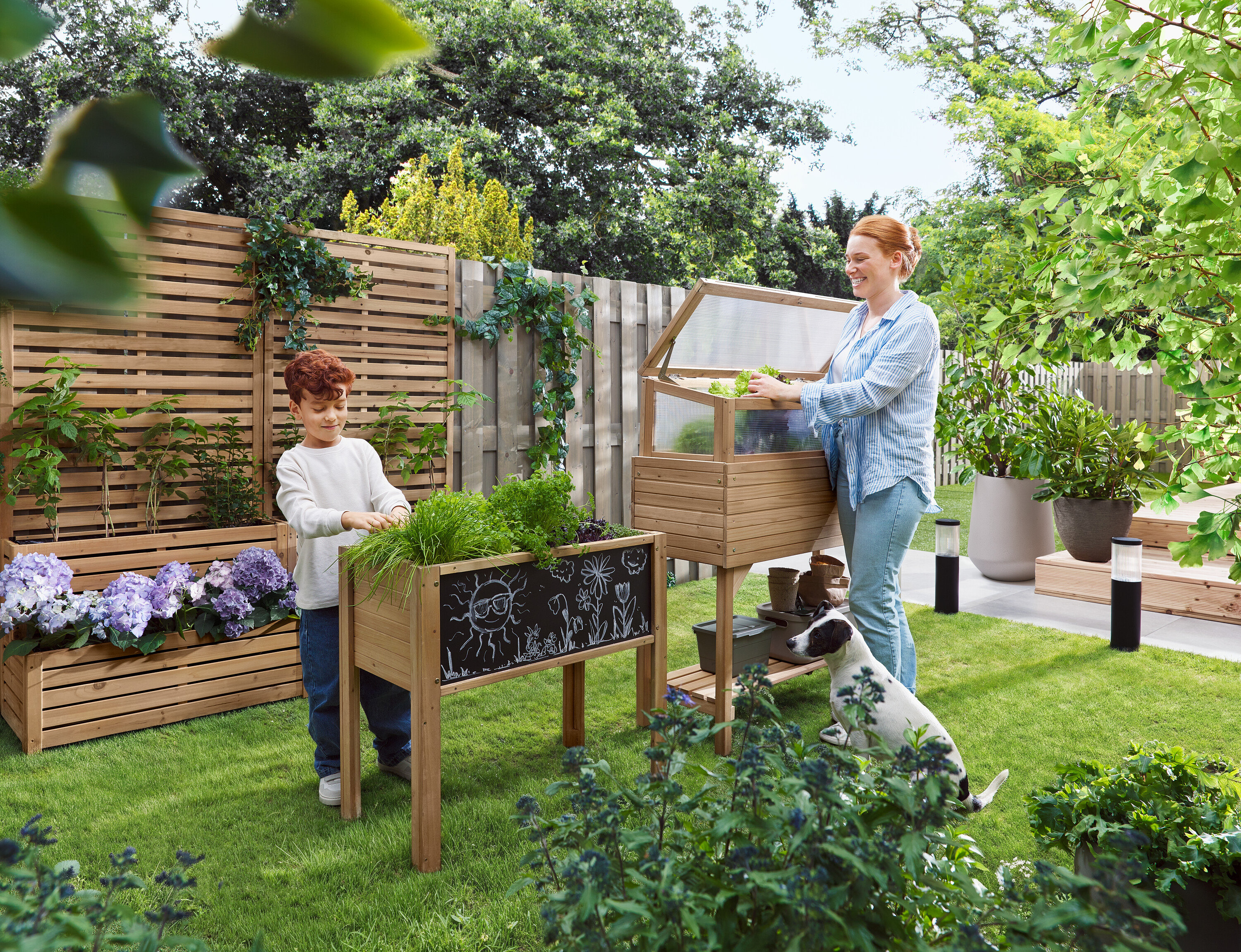 Egy nő kinyit egy korai keretet, miközben egy gyermek egy magaságyás mellett áll. Egy kutya ül a fűben.