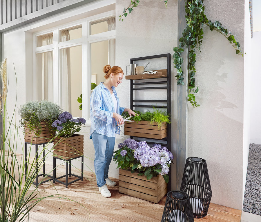 Nő zöld növényt vág fa dobozban egy polcon. Kint faültetők állnak növényekkel és lila virágokkal.