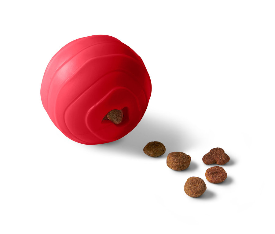 Egy piros jutalomfalat-adagoló labda és öt darab kutyaeledel fehér háttéren.