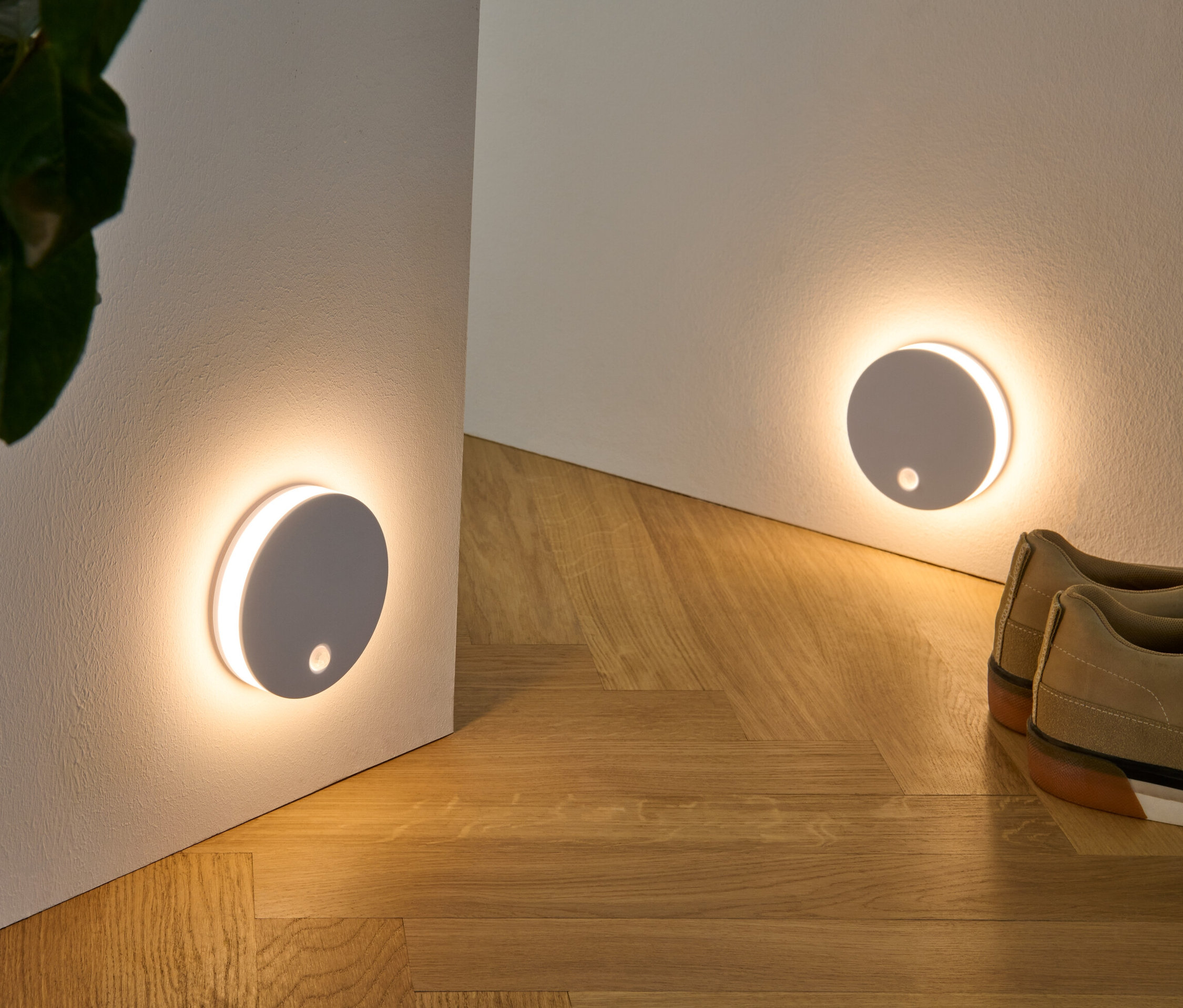 Két multifunkciós LED lámpa van a falra szerelve, egy növény egy fonott kosárban és cipők egy fapadlón.