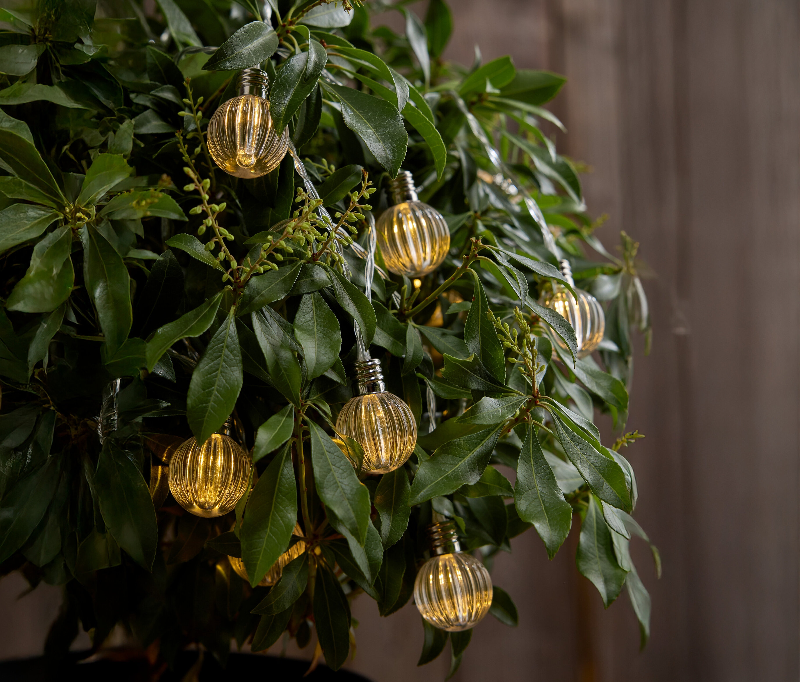 Egy fa közeli képe, amelynek levelei között apró sárga izzók lógnak.