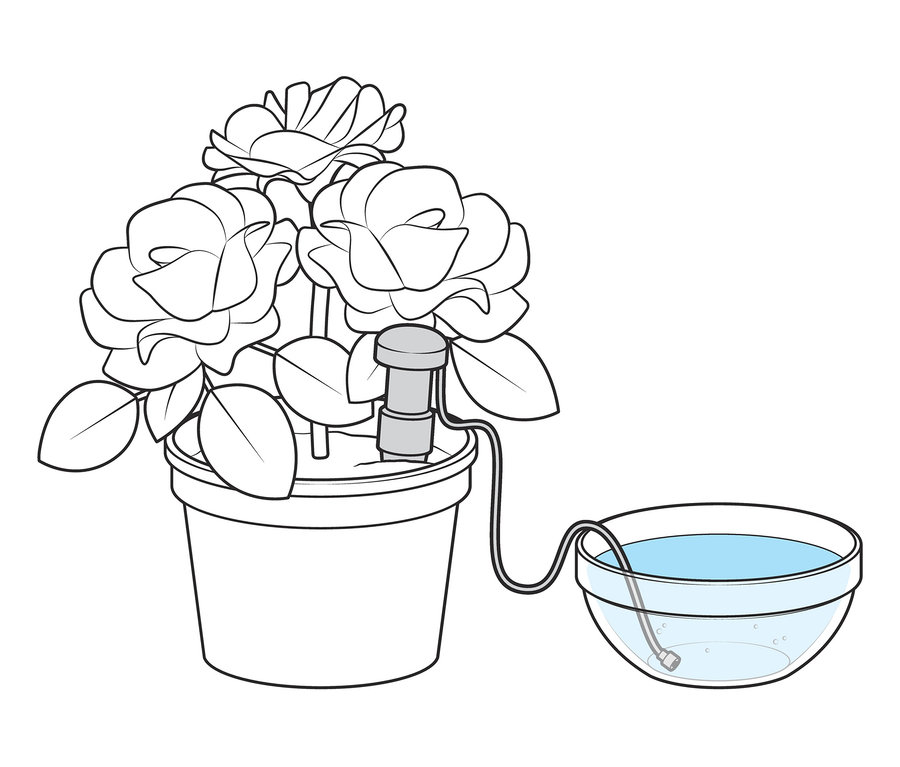 Virágcserép 3 automata öntöző szettel, vízzel teli tálhoz csatlakoztatva.