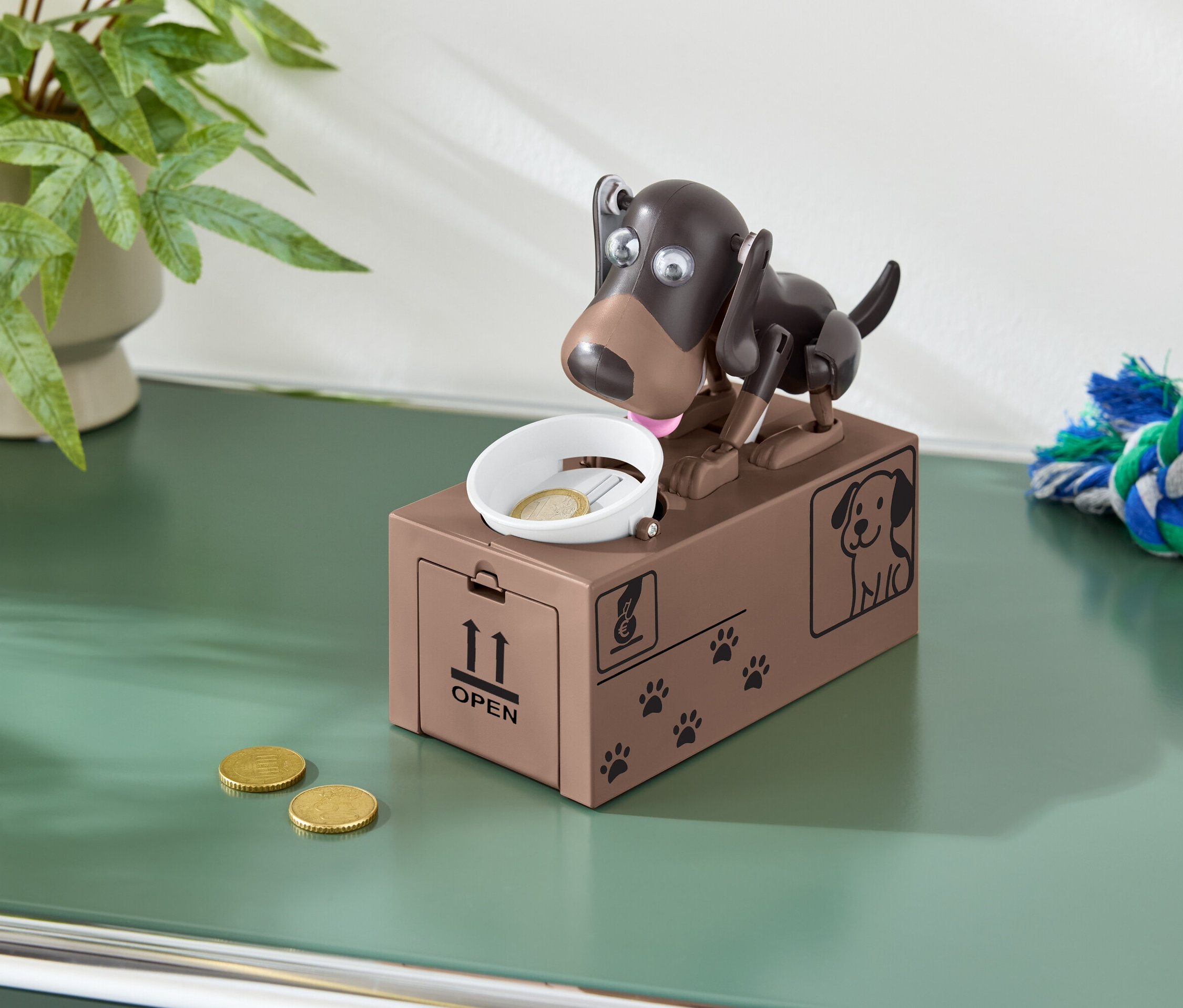 Barna, kutyás persely érmével egy tálban és két érmével a zöld asztalon.