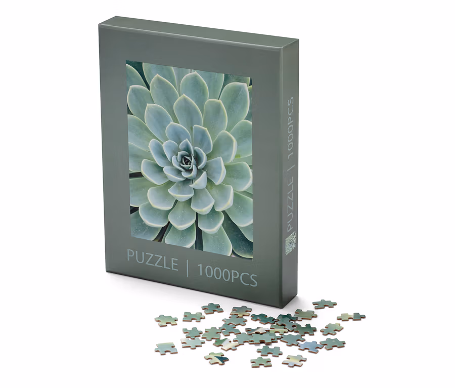 Egy »Sukkulente« puzzle doboza és néhány kirakós darab fekszik egy fehér háttéren.