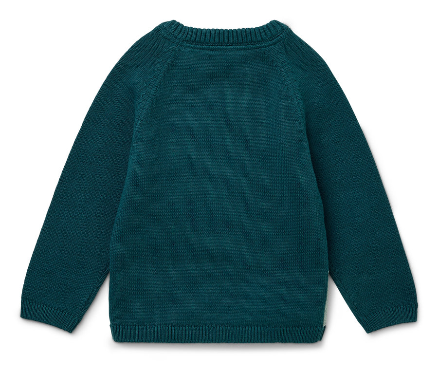 Egy zöld, hosszú ujjú pulóver hátulnézete.