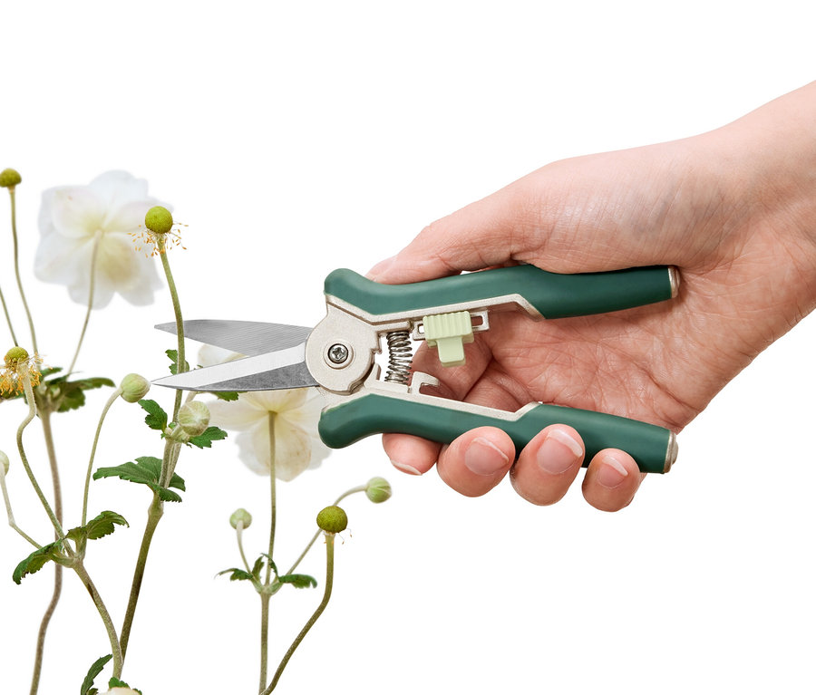 Egy kéz egy fehér virágot vág le egy 2 mini kerti ollóval.