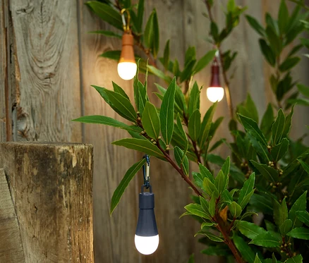 Három mini LED-es lámpa lóg egy bokor ágain egy fa kerítés előtt.