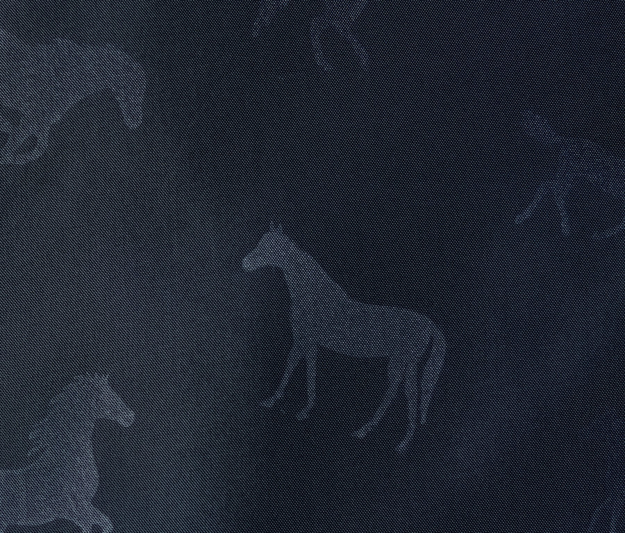 Sötétkék minta lovakkal. Lány lovaglómellény, kapucni, világoskék.