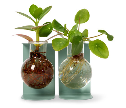 2 db növény gyökereztető váza, állvánnyal