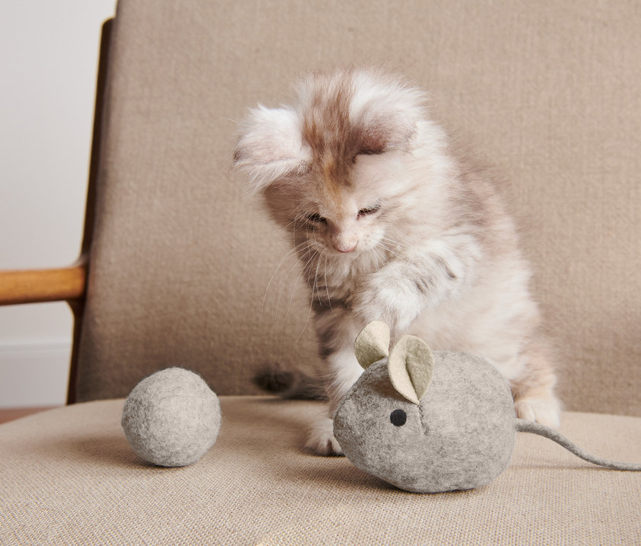 Egy kiscica játszik egy szürke plüss egérrel és egy szürke gyapjúlabdával a macskajáték készletből, egér.