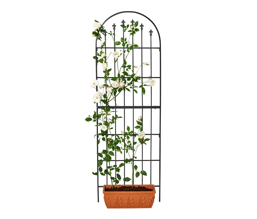 Fekete növényfuttató állvány fehér rózsákkal egy terrakotta virágcserépben.