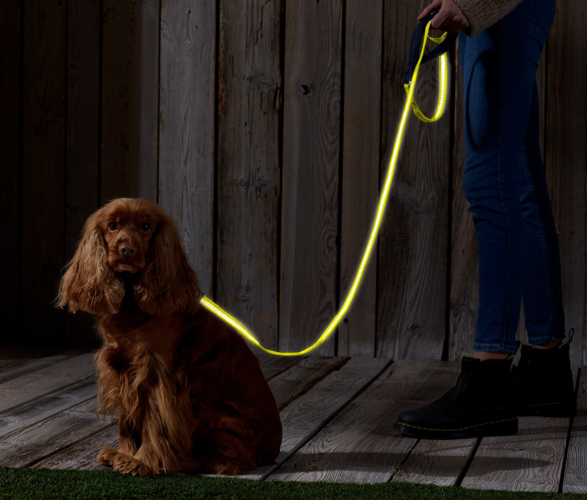Egy barna cocker spániel ül egy fényvisszaverő pórázt tartó személy mellett.