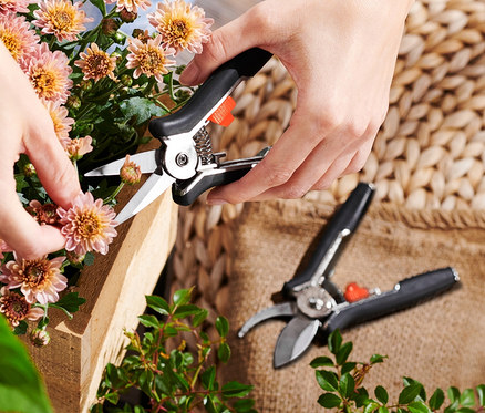 Egy nő virágokat vág egy 2 mini kerti ollóval.